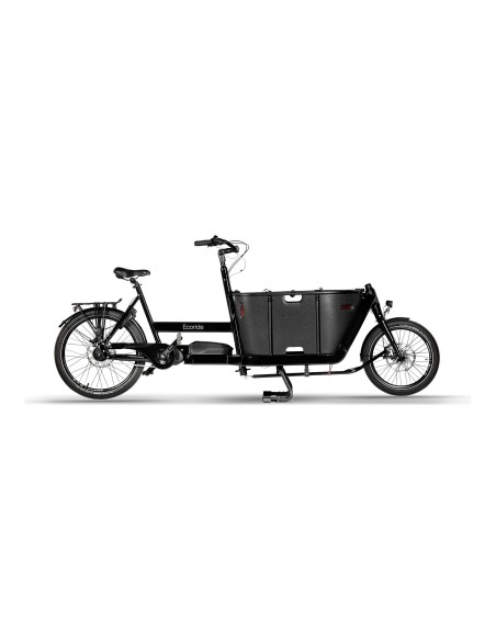 Ecoride Loader 421