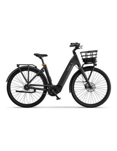 Ecoride Ambassador 4