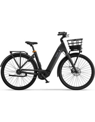 Ecoride Ambassador 4