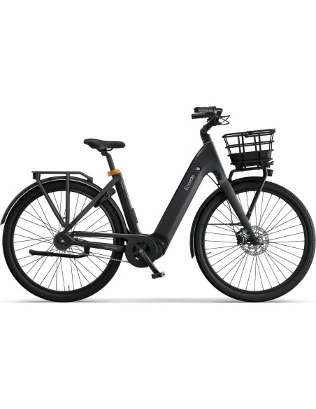 Ecoride Ambassador 4